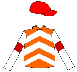 Mr Tim Nicholson